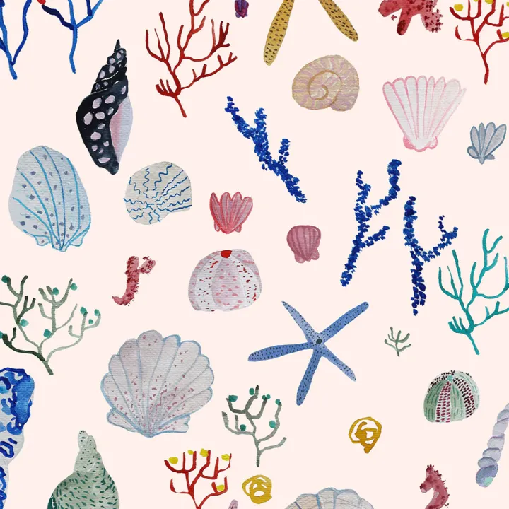 Shells