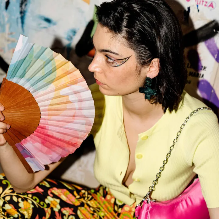 FAN - COLOR HARMONY