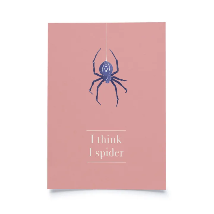 D'English - I think I spider