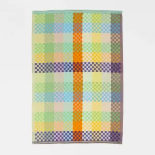 Checkered Check - 58B