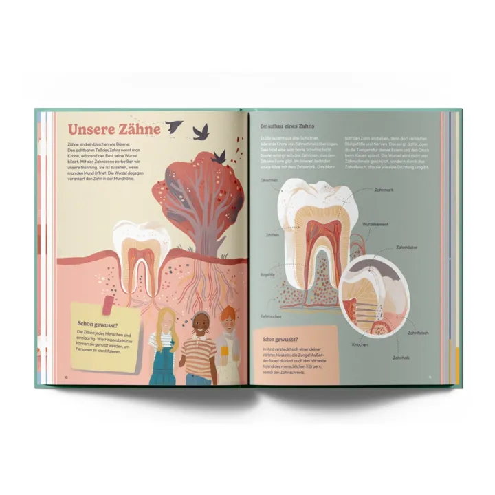 Von Goldzahn bis Giftzahn