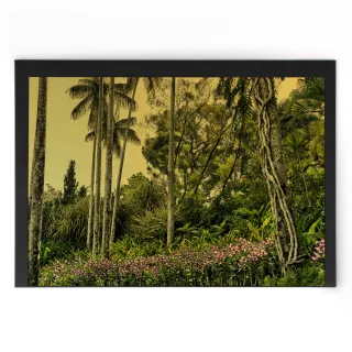 "Tropical Garden"