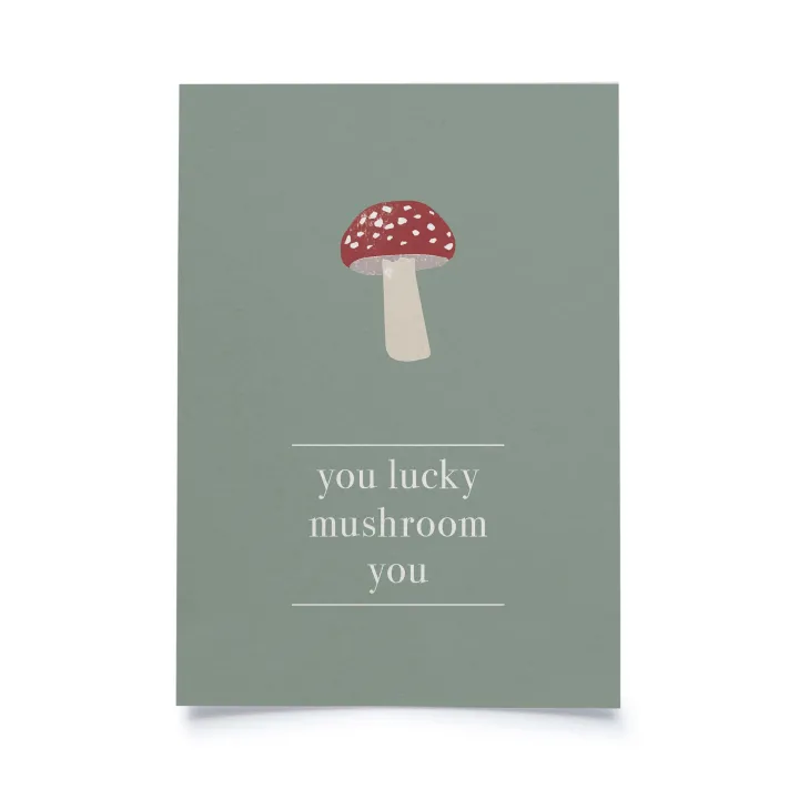 D'English - You lucky mushroom you