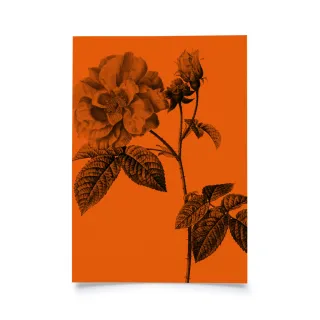 Frühlingsblumen - Orange