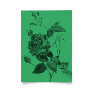 Frühlingsblumen - Grün