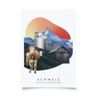 Collagen Schweiz - Kuh