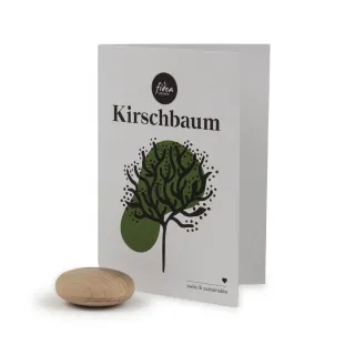 Lebensbaum - Kirschbaum