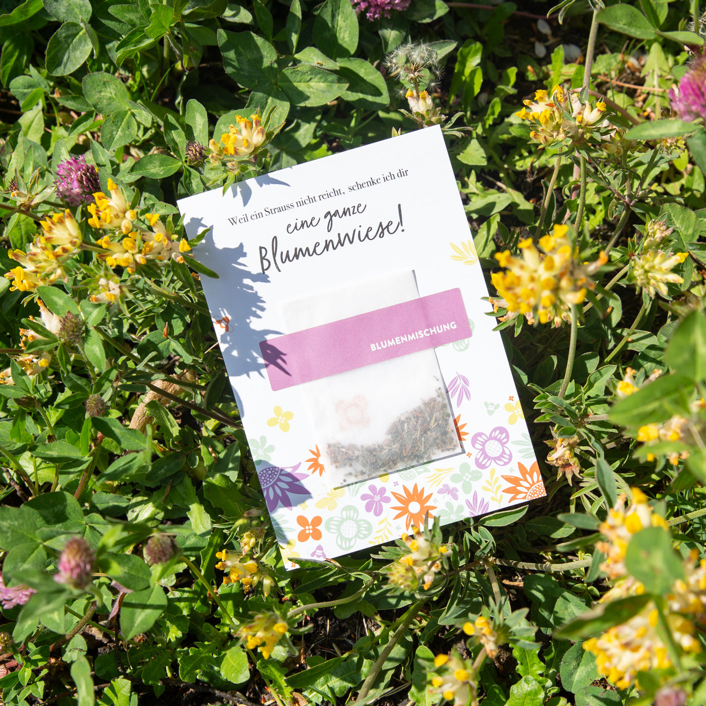 Produktbild Saatgut - Blumenmischung