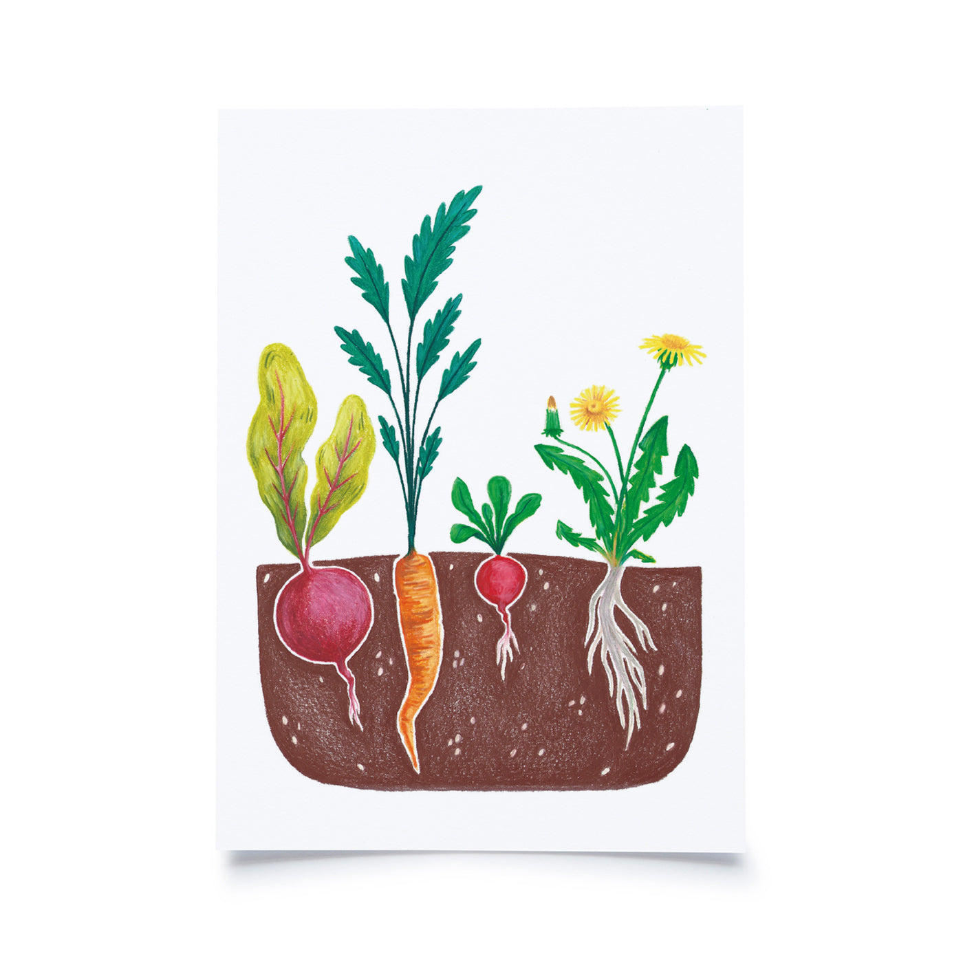Produktbild Lorena Paterlini - Garten