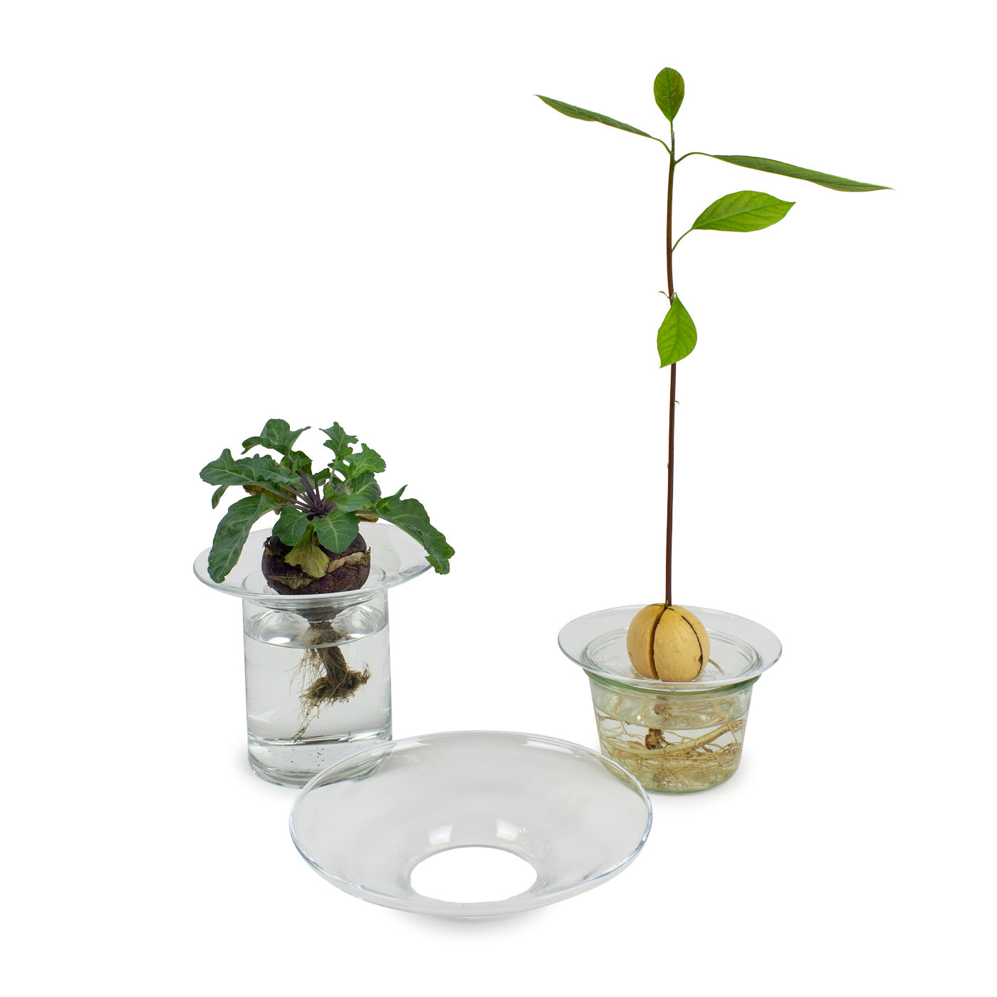 Produktbild-Knollenhalter - L
