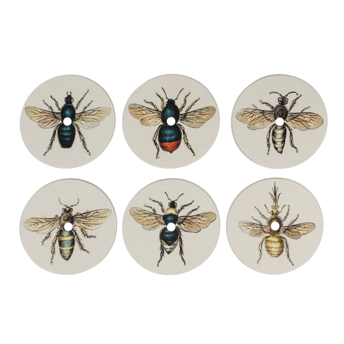 Produktbild-Summ-Summer - Insekten