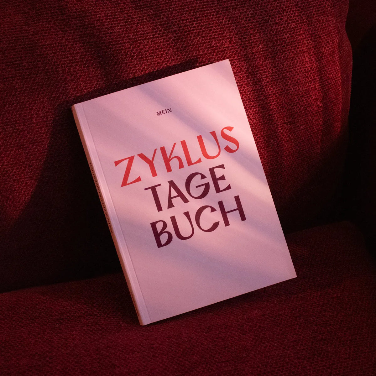Produktbild-Zyklus-Tagebuch