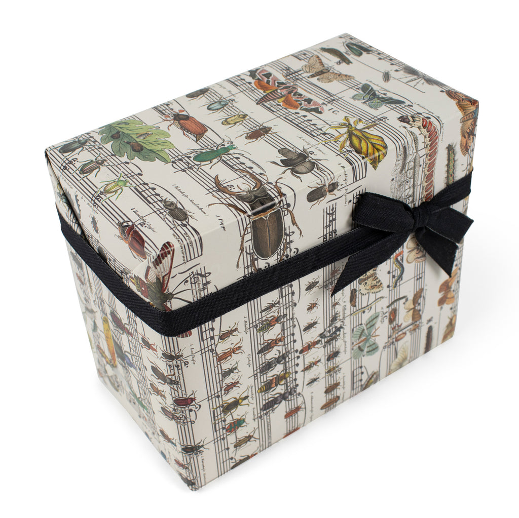 Produktbild-VM - Geschenkpapier, Lotta
