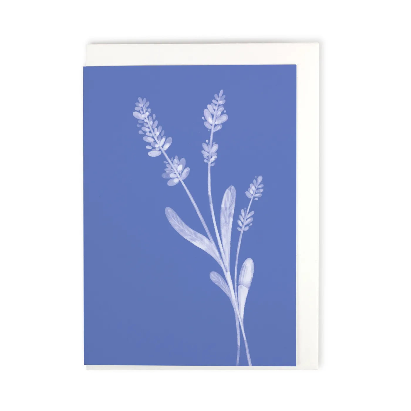 Produktbild Wertvoll FK - Lavendel