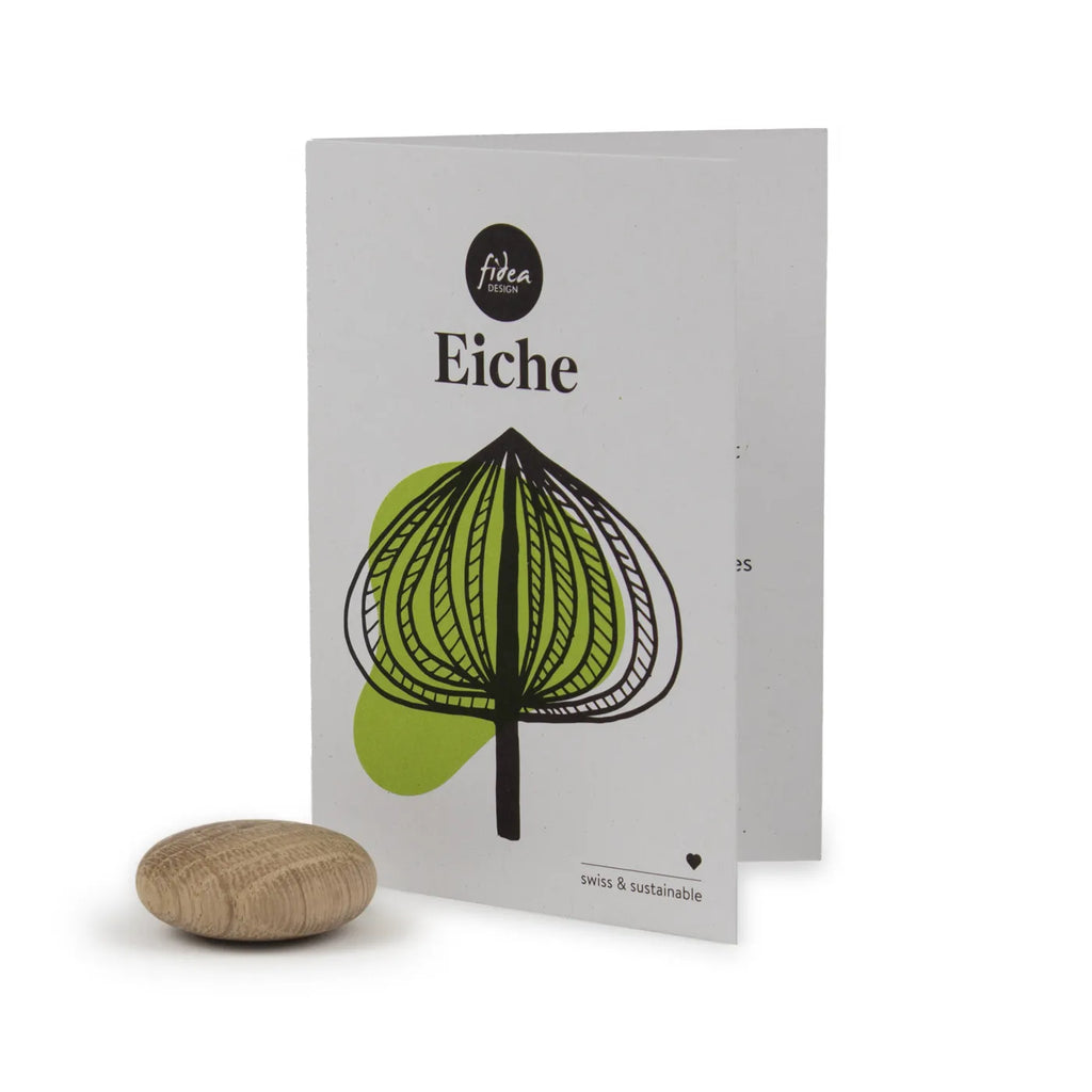 Produktbild-Lebensbaum - Eiche