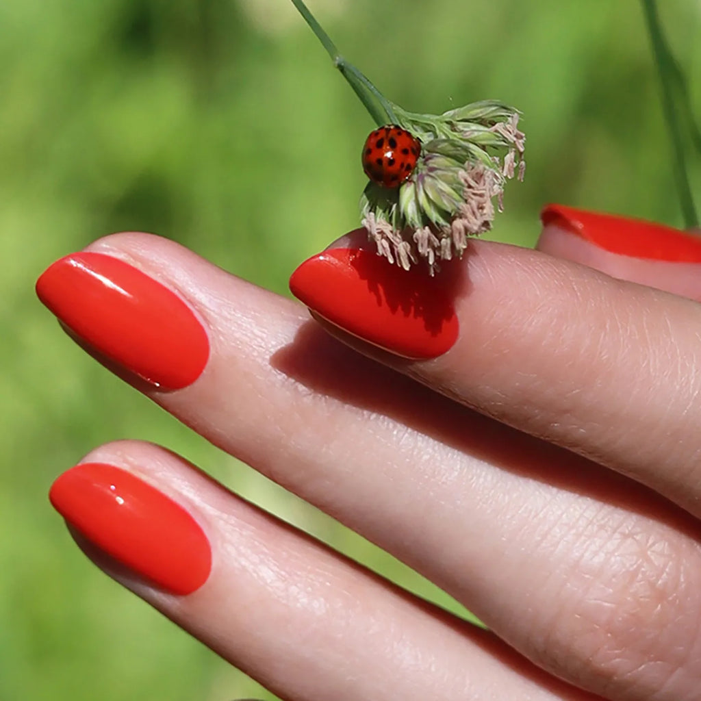 Produktbild-Green - Red Coral