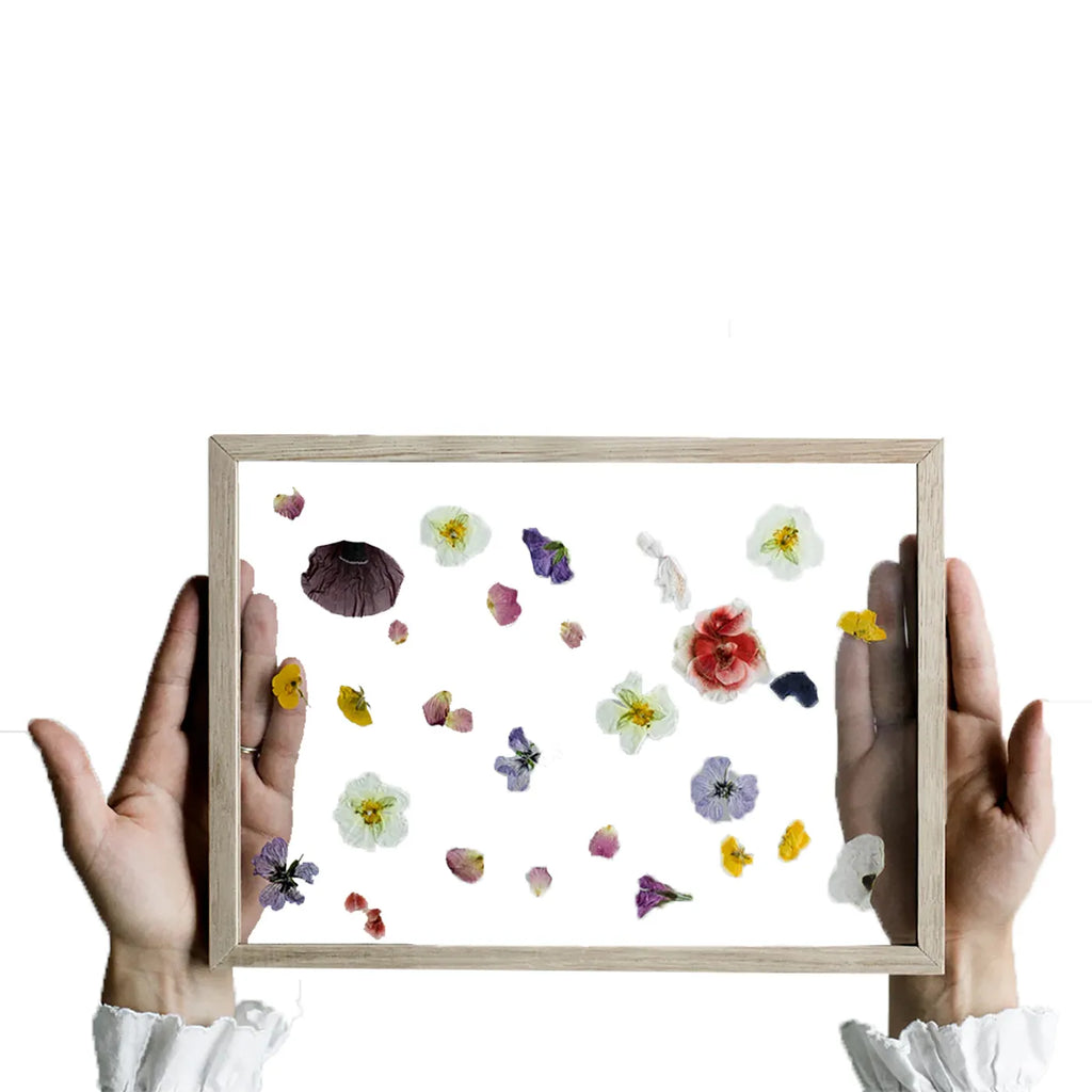 Produktbild-Frame - Eiche A3