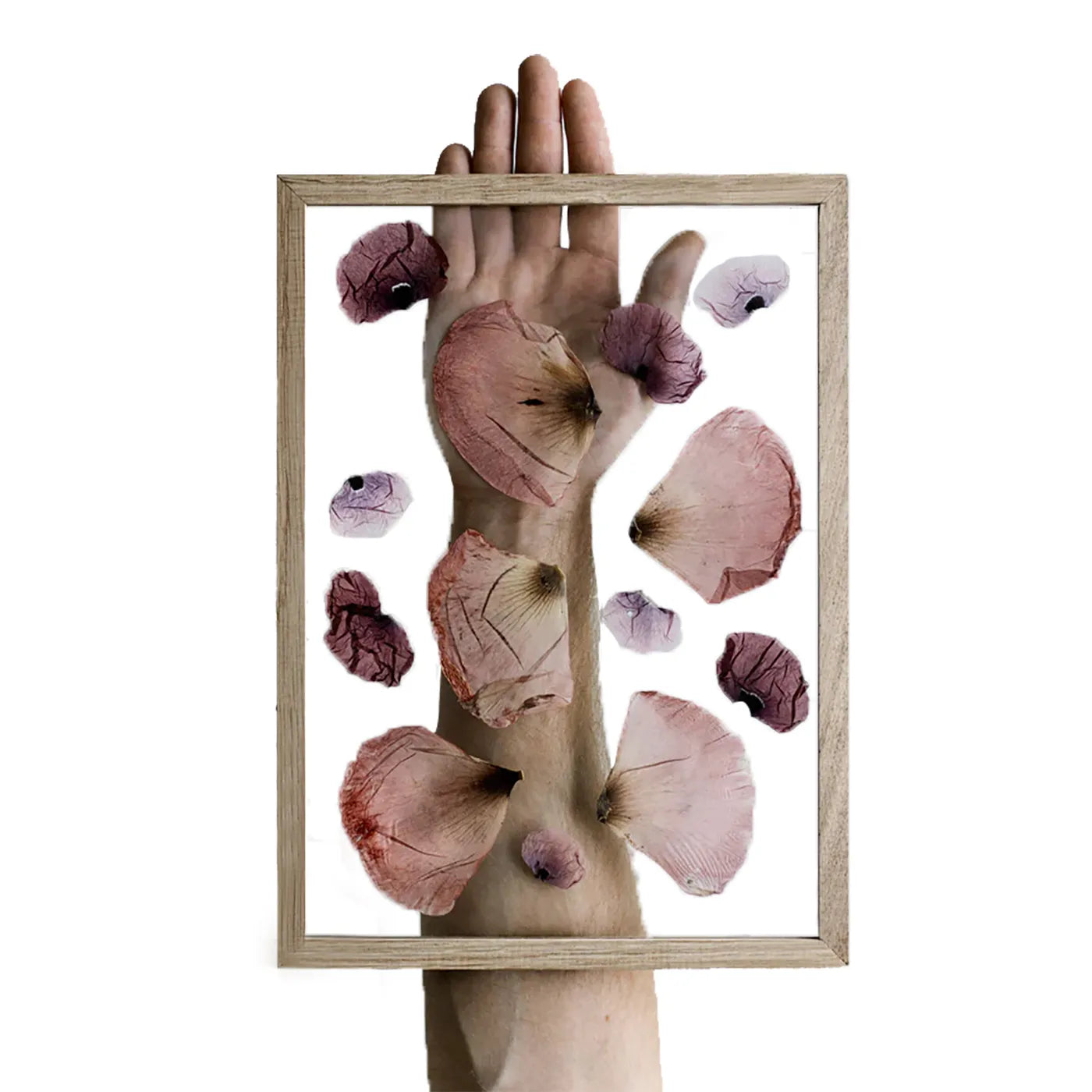 Produktbild-Frame - Eiche A4