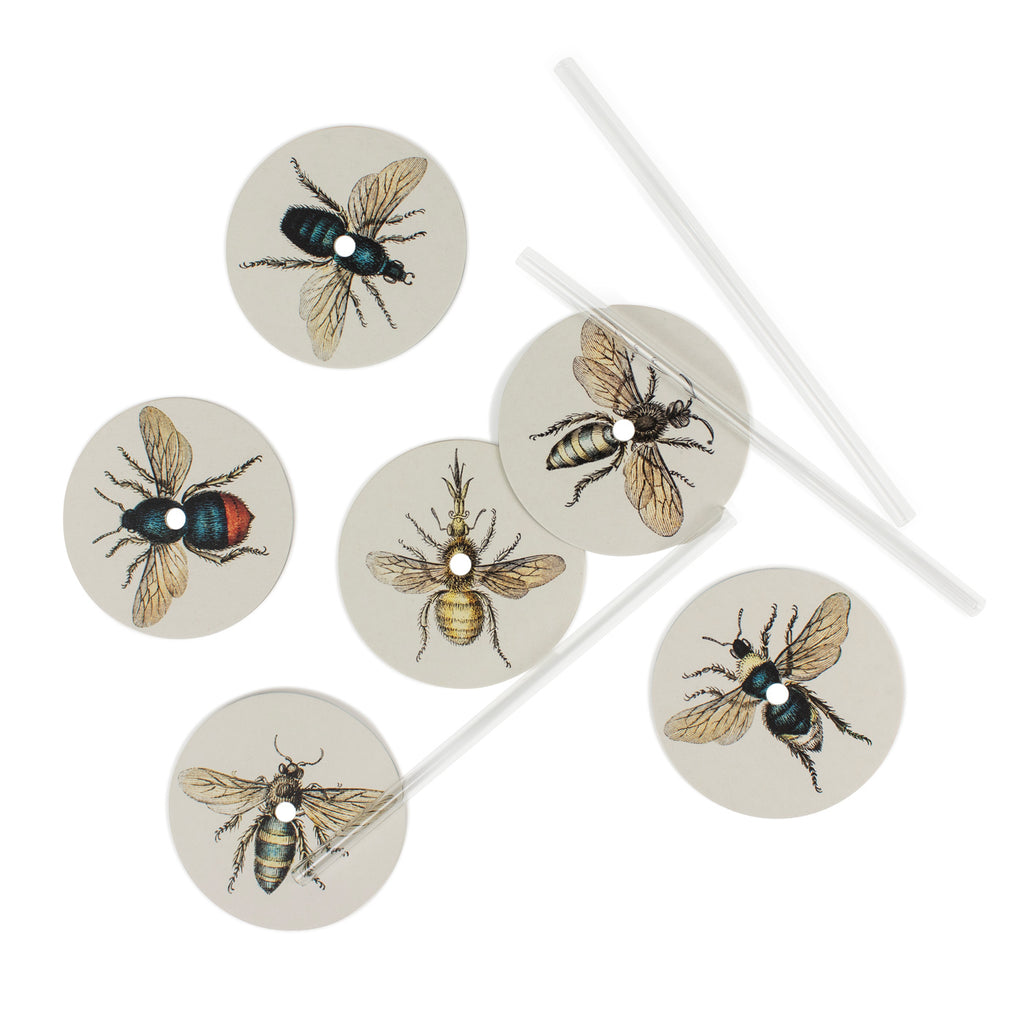Produktbild-Summ-Summer - Insekten