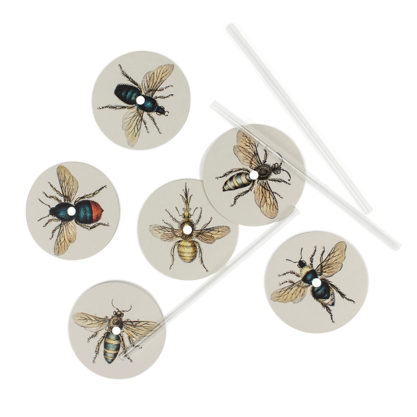 Produktbild-Summ-Summer - Insekten