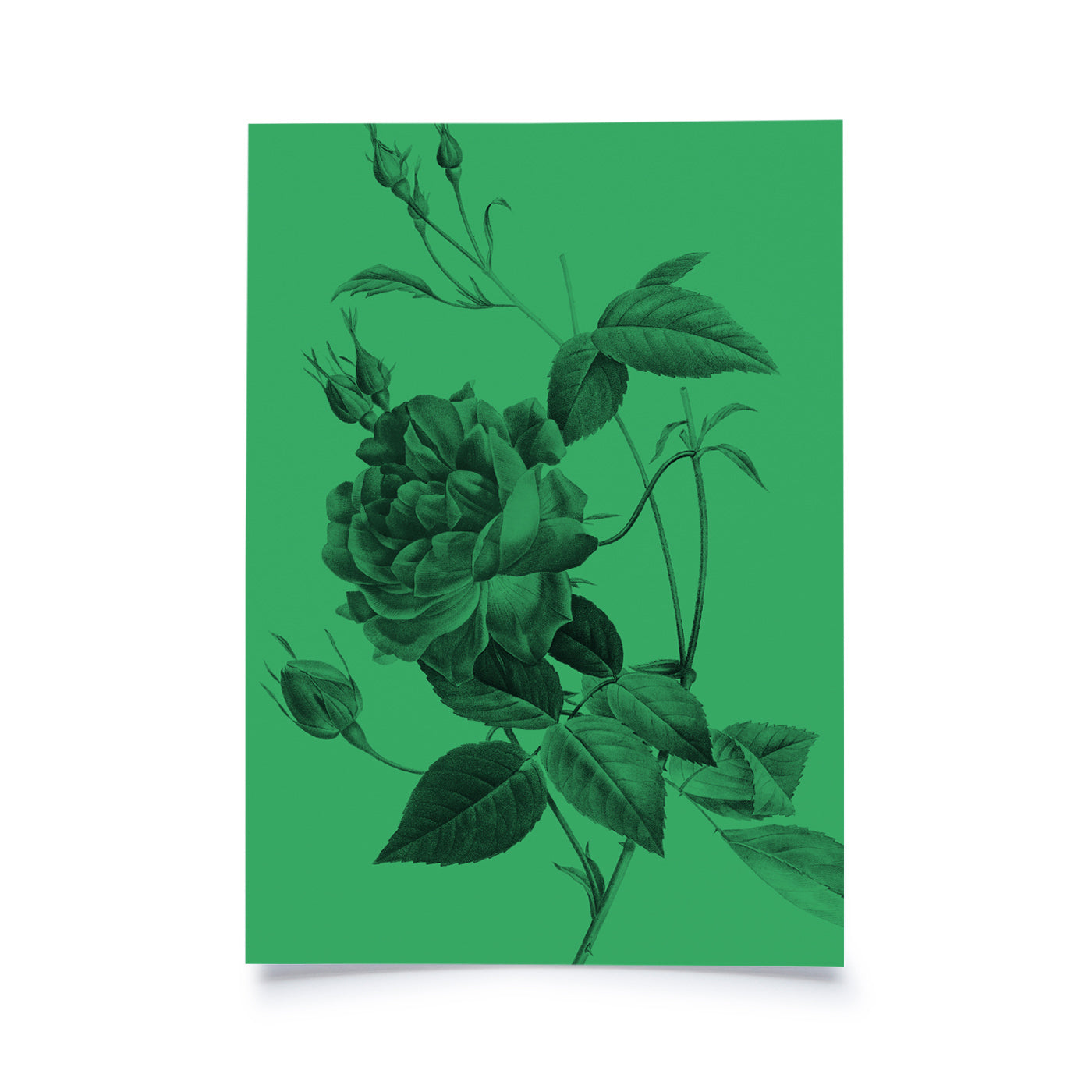 Produktbild Frühlingsblumen - Grün