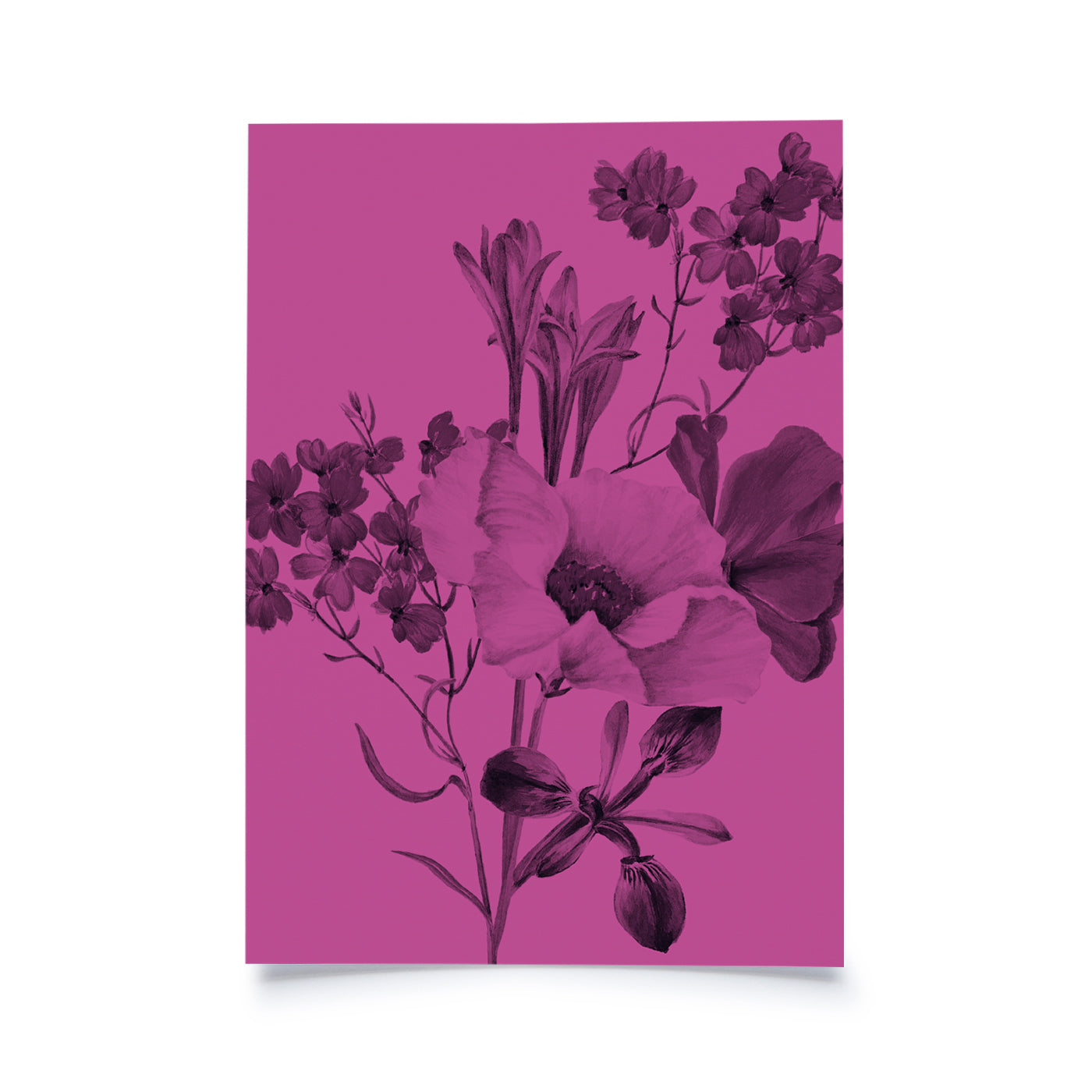 Produktbild Frühlingsblumen - Pink