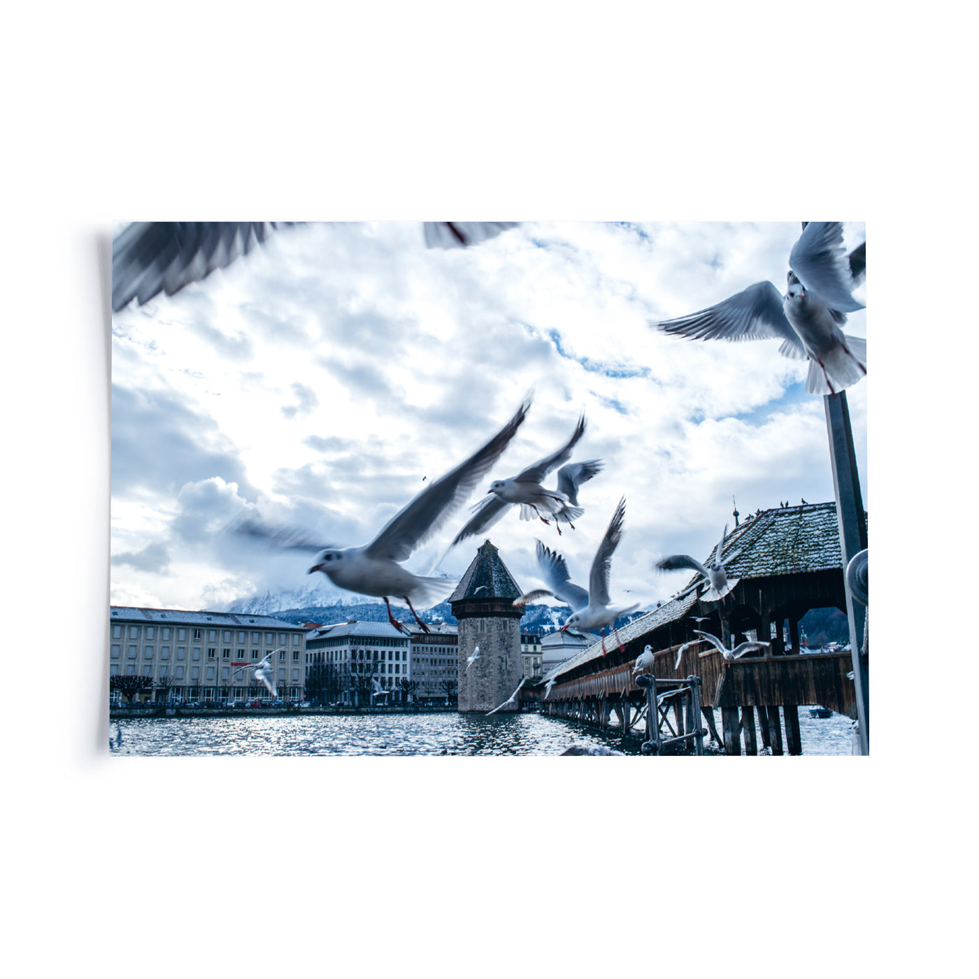 Produktbild Lucerna - Möwen